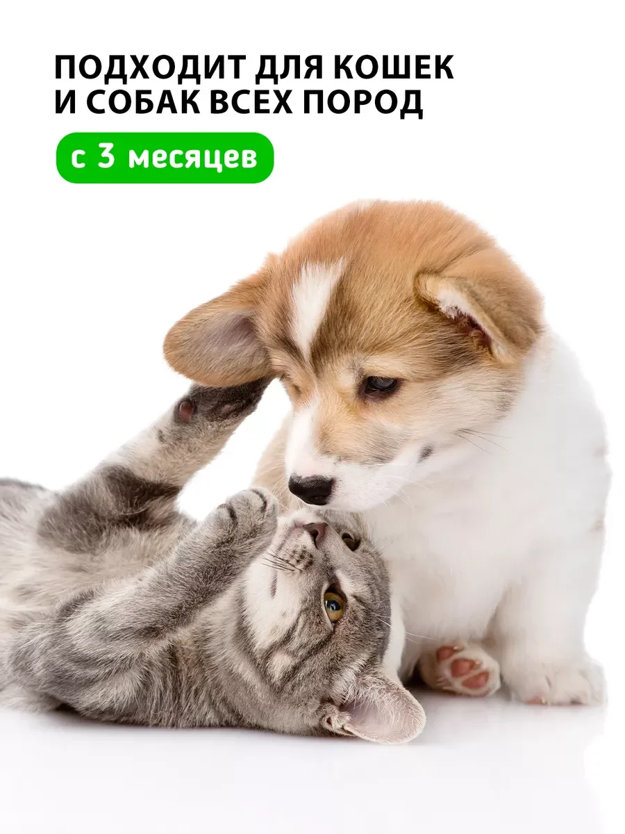 Гель-пенка очищающая для лап и проблемных участков