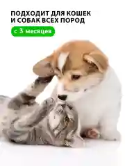 Пудра для ушей гипоаллергенная
