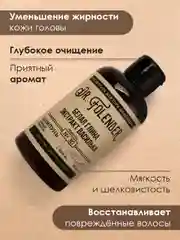 Шампунь для всех типов волос DR.FOLENDER питание и укрепление жирной кожи головы, 300 мл