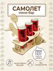Самолёт для пива, подарок папе, мужу, брату на 23 февраля, новый год минибар