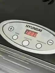 Сушка для фруктов и овощей Hyundai HYFD-P1801, 18 поддонов, 700Вт, черный