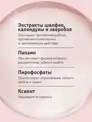 Зубная паста от кровоточивости десен Асепта Active, 75 мл