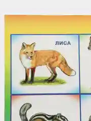 Бронзовый плакат Дикие животные. Домашние животные. Птицы перелетные, зимущие. России. Насекомые