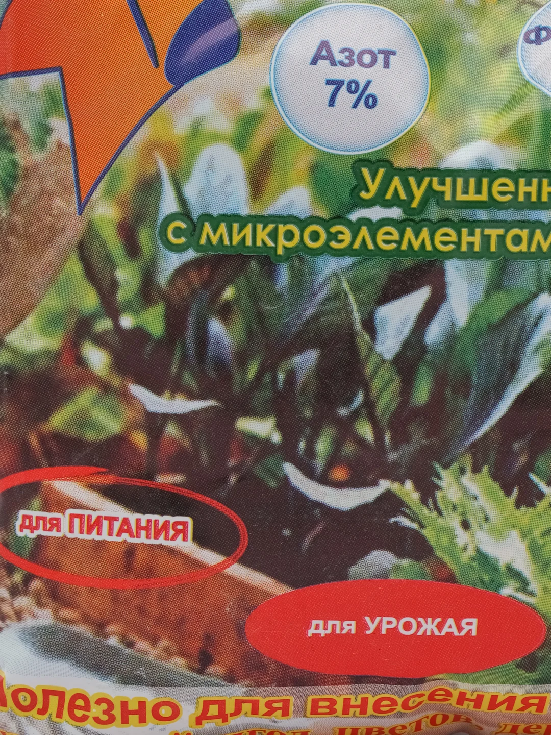 Гуми-оми весенний
