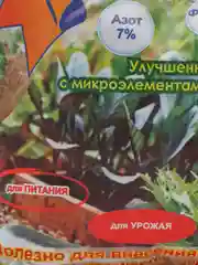 Гуми-оми весенний