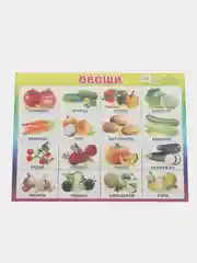 Золотой плакат Мир растений. Растения деревья, кустарники, травы, ягоды. Грибы. Овощи. Фрукты