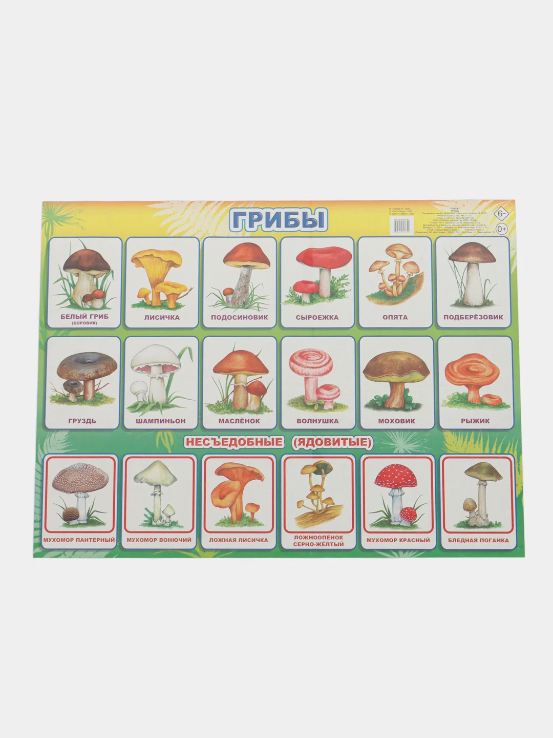 Желтый плакат Мир растений. Растения деревья, кустарники, травы, ягоды. Грибы. Овощи. Фрукты