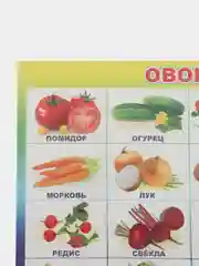 Золотой плакат Мир растений. Растения деревья, кустарники, травы, ягоды. Грибы. Овощи. Фрукты