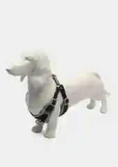 Черный шлейка для собак