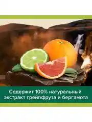 Гель для душа Palmolive Цитрусовый Заряд 3 в 1 для тела, волос и лица, 500 мл, 2 шт