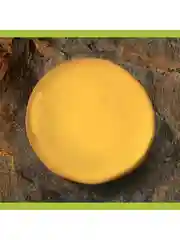 Гель для душа Palmolive Цитрусовый Заряд 3 в 1 для тела, волос и лица, 500 мл, 2 шт