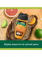 Гель для душа Palmolive Цитрусовый Заряд 3 в 1 для тела, волос и лица, 250 мл, 2 шт