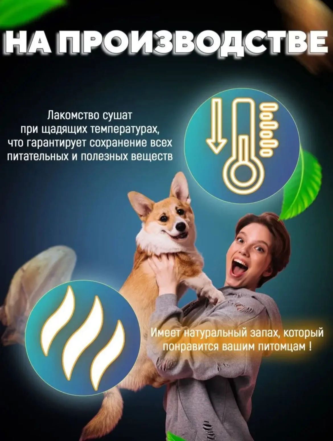 Лакомство для собак, Мисс Кусь , Ухо свиное, 3 шт