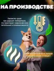 Лакомство для собак, Мисс Кусь , Ухо свиное, 3 шт