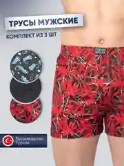 Комплект мужских трусов IzyWear , 3шт