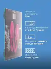 Электронные весы ENDEVER AURORA-560