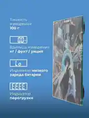 Электронные весы ENDEVER AURORA-561