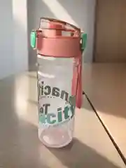 Бутылка для воды, 700 мл, спортивная