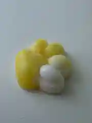 Желтый кошачья лапка, лапка тигра, лапка антистресс, сквиш