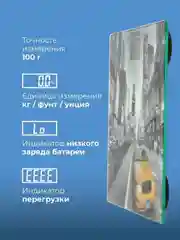 Электронные весы ENDEVER AURORA-557