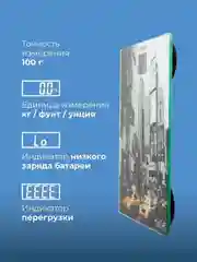 Электронные весы ENDEVER AURORA-558