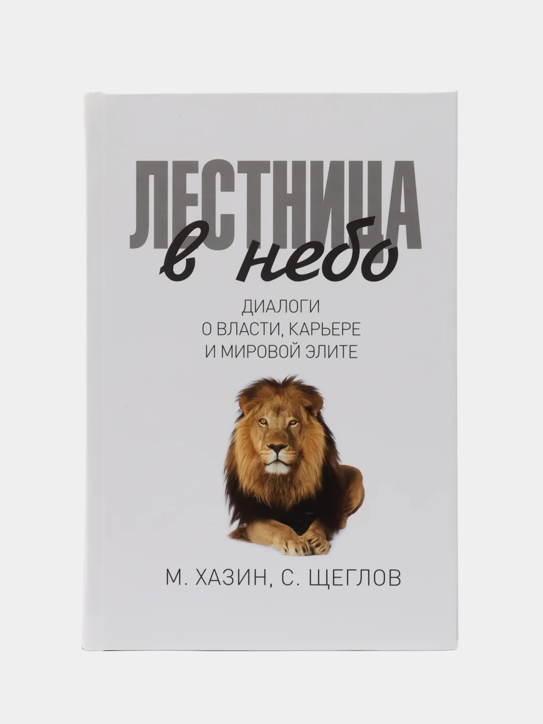 Лестница в небо. Диалоги о власти, карьере и мировой элите