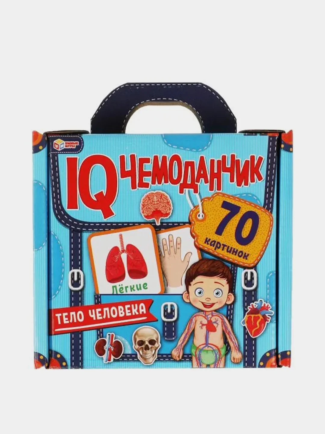Развивающие карточки Умные игры "Тело человека. IQ чемоданчик", 70 картинок