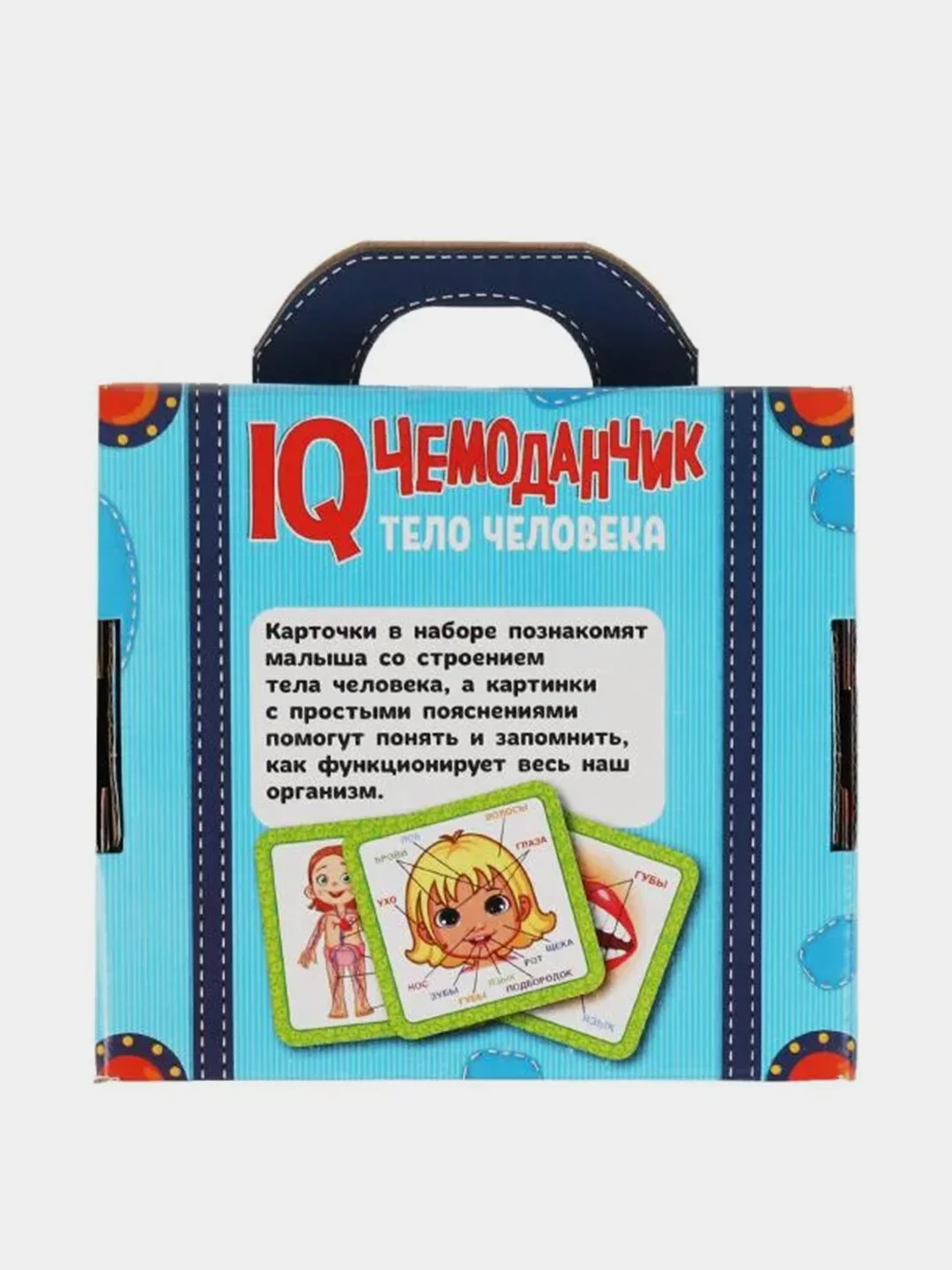 Развивающие карточки Умные игры "Тело человека. IQ чемоданчик", 70 картинок