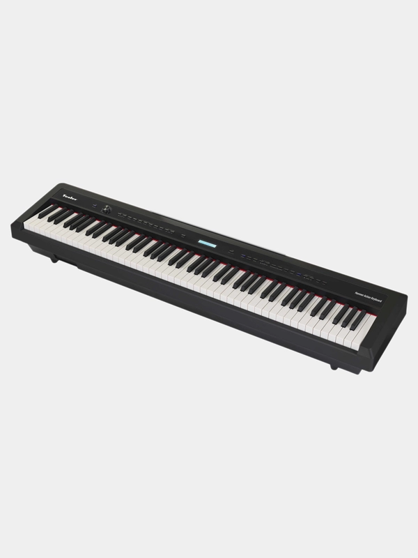 Цифровое пианино TESLER STZ-8800
