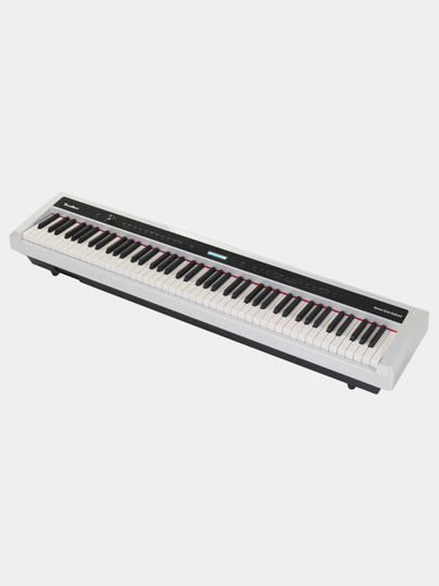Цифровое пианино Tesler STZ-8800