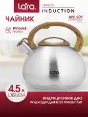 Чайник LARA, матовый, LR00-78, 4,5 л