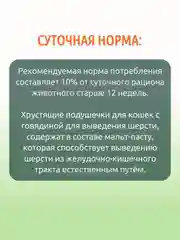Хрустящие подушечки для кошек TiTBiT, с говядиной, для выведения шерсти, 60 г