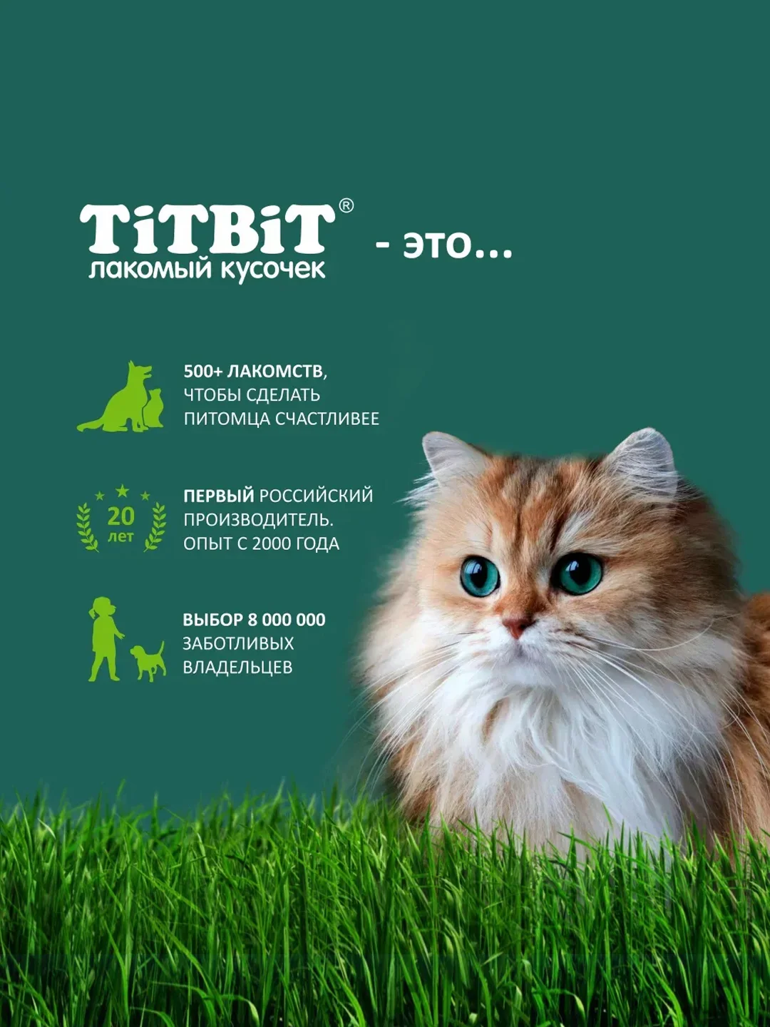 Крем-суп для кошек TiTBiT, с кусочками кролика, 4 упаковки по 10 г