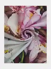 Розовый фотошторы и фототюль