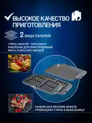 Гриль электрический VIXTER ECG-1012 / сменные панели / 2000 Вт