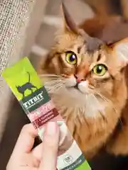 Крем-суп TiTBiT,  для кошек, с кусочками телятины, 4 упаковки по 10 г
