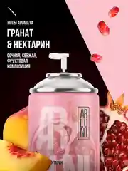 Освежитель воздуха Arluni "Гранат & нектарин", сменный аэрозольный баллон, 250 мл