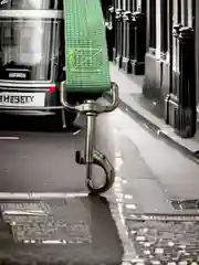 Лайм ремень безопасности для животных автомобильный