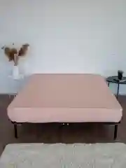 Пудровый комплект постельного белья Cotton Nights Sweet Dreams, хлопок