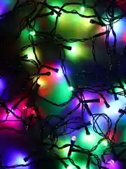 Гирлянда эл. вьюн 9м, 100 LED, RG/RB, автореж., ПВХ черный, 220В