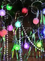 Гирлянда эл. насадка "Рамбутан", 3м, 15LED, RG/RB,автореж, ПВХ прозр., коннект, 220В