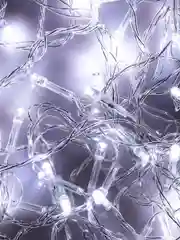 Гирлянда эл. вьюн 9м, 100 LED, белый, пост. свечение, ПВХ прозр., 220В