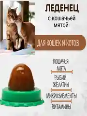 Лакомство для кошек и котов "Конфета с кошачьей мятой", леденец