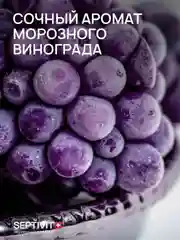 SEPTIVIT Мыло "Виноградная свежесть", 5 л