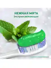 Зубная паста Colgate Макс Фреш, нежная мята, с освежающими кристаллами, 100 мл, 2 шт
