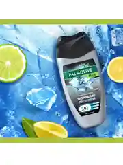 Гель для душа Palmolive MEN Арктический ветер 3 в 1 для тела, волос и лица, 250 мл, 2 шт