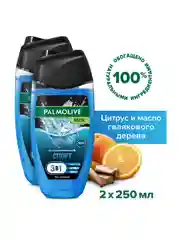 Гель для душа Palmolive с экстрактом цитрусовых 3 в 1 для тела, волос и лица, 250 мл, 2 шт