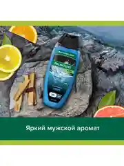 Гель для душа Palmolive с экстрактом цитрусовых 3 в 1 для тела, волос и лица, 500 мл, 2 шт