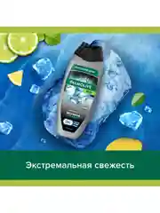 Гель для душа Palmolive MEN Арктический ветер 3 в 1 для тела, волос и лица, 450 мл, 2 шт