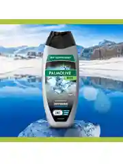 Гель для душа Palmolive MEN Арктический ветер 3 в 1 для тела, волос и лица, 450 мл, 2 шт